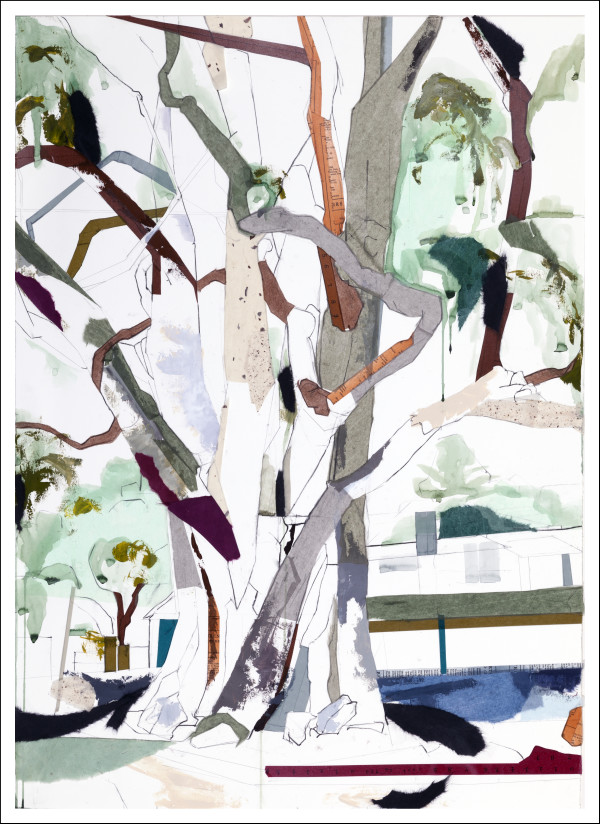 Carmel Eucalyptus I by Jill Lear