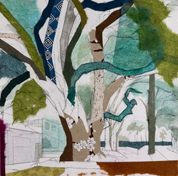 Cragmont Avenue Oak Haiku by Jill Lear