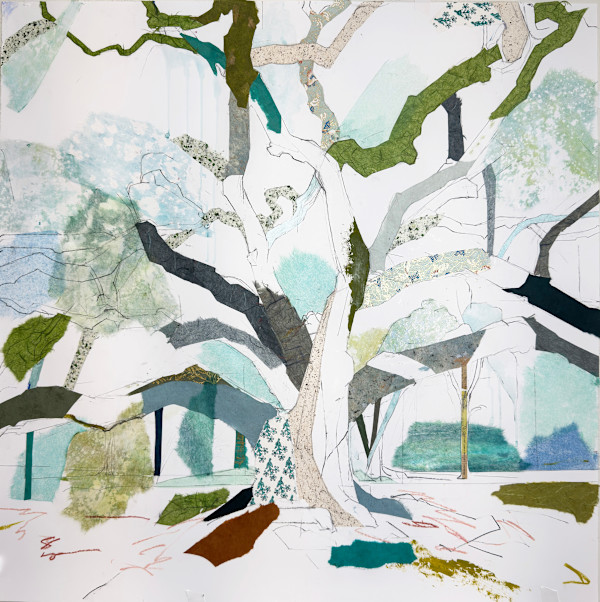 32° 52’ 24” N  80° 05’ 05” W Magnolia Plantation Oak VIII (Coils) by Jill Lear, Image 1.