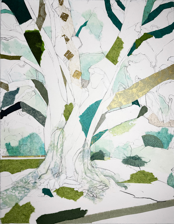 32° 49’ 15.2” N 96° 47’ 53.5” W Overhill Oak I (Grounded) by Jill Lear