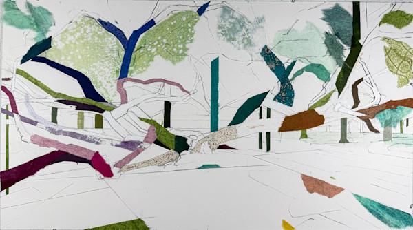 32° 49’ 29” N 96° 45’ 40.50” W Octopus Tree (Tietze Park Oak) by Jill Lear