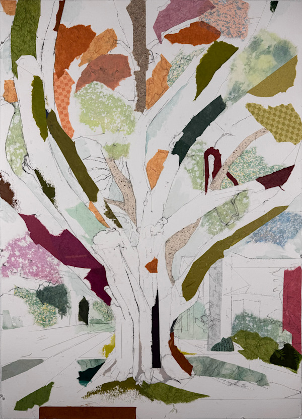 Anita Street Oak I (Joy) 32° 50’ 04” N  96° 44’ 57.50” W by Jill Lear