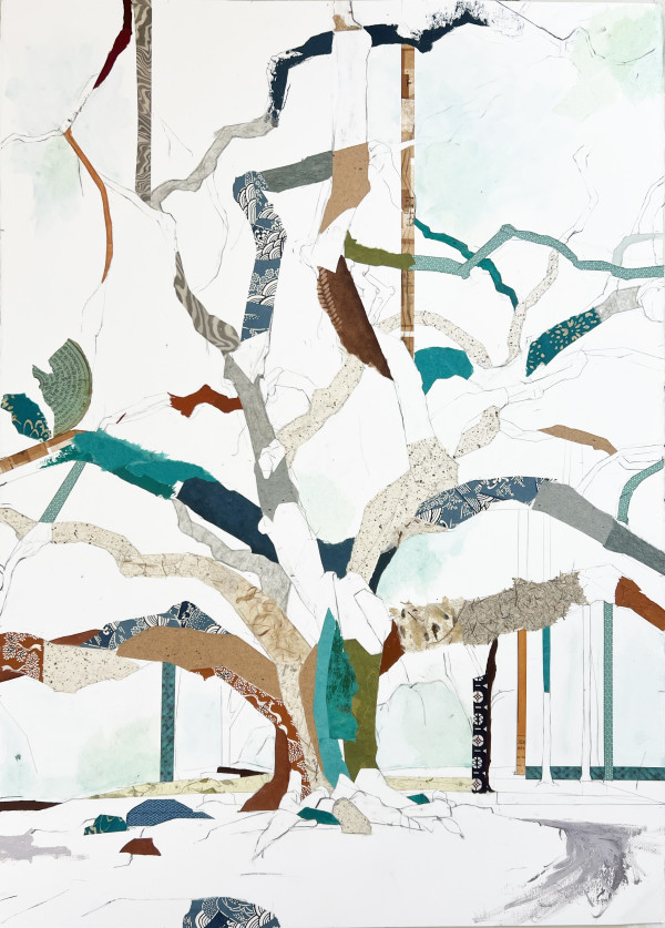 32° 52’ 24” N  80° 05’ 05” W Magnolia Plantation Oak II by Jill Lear