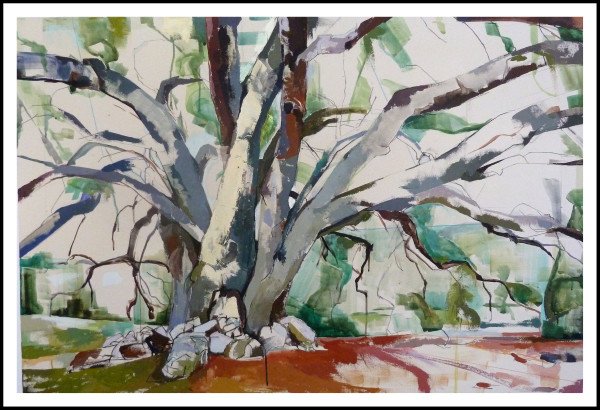 Paso Robles Oak (20130808) by Jill Lear