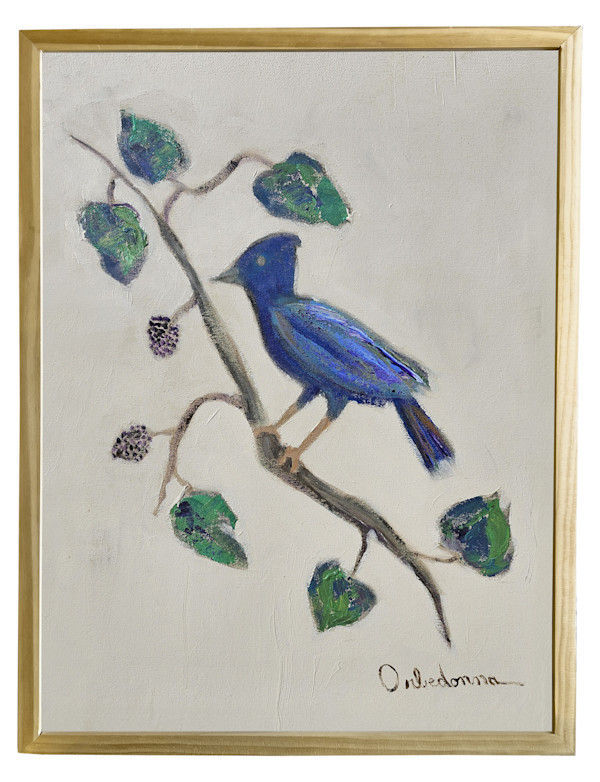 Bird On Blackberry Vine by Orbedonna