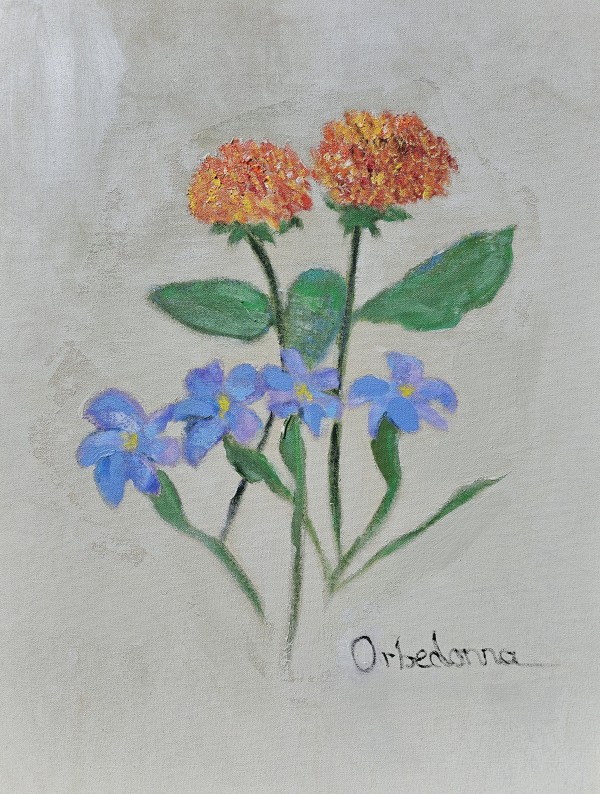Lantana and Blue Eyed Grass by Orbedonna