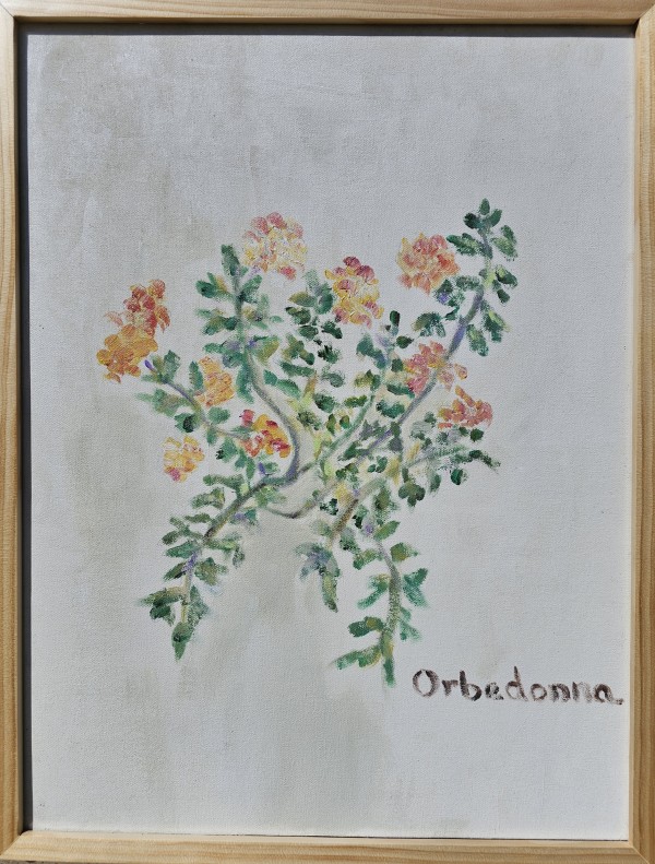 Lantana by Orbedonna