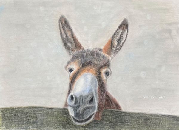 Buttercup by Kathie Collinson