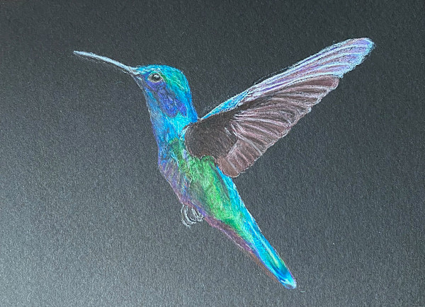 Beauty Found - Humming Bird by Kathie Collinson, Image 1.