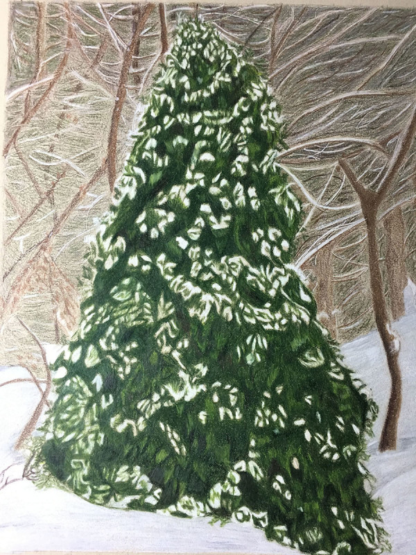 Christmas Tree by Kathie Collinson