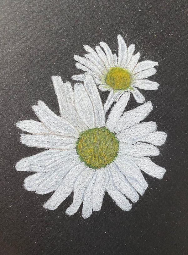 Beauty Found - Daisies by Kathie Collinson, Image 2.