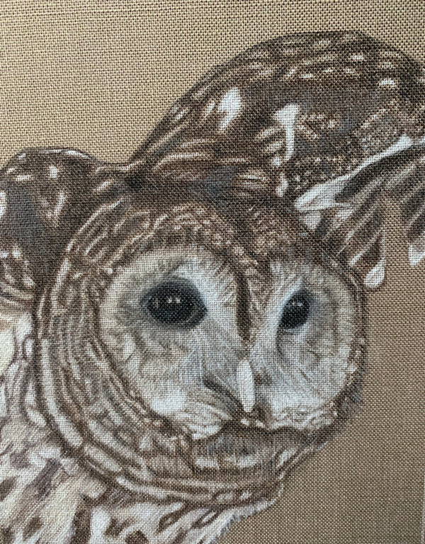 Charlotte by Kathie Collinson, Image 1.
