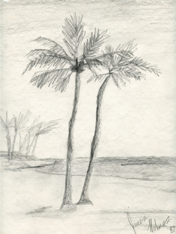 Palm Trees by James Joel Holmes