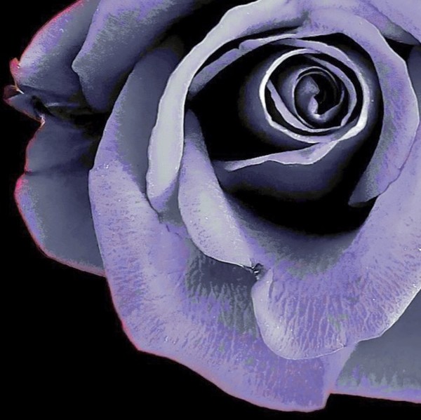 Breathe by Thia Rice