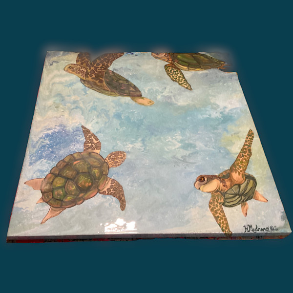 Green Turtle Bliss by Heather Medrano