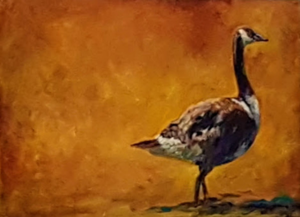 Canada Goose by Sue Gardner 