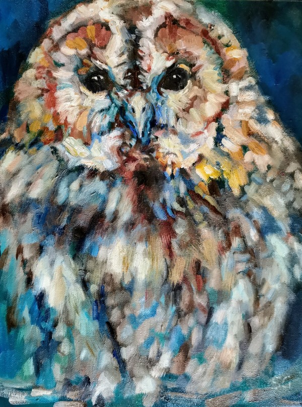 Little Owl by Sue Gardner
