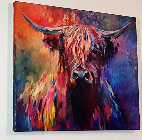 Highland Cow by Sue Gardner