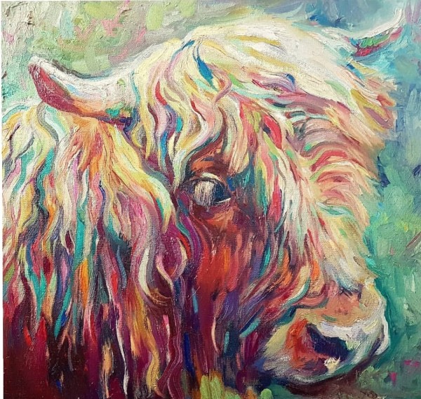 Highland Cow by Sue Gardner 