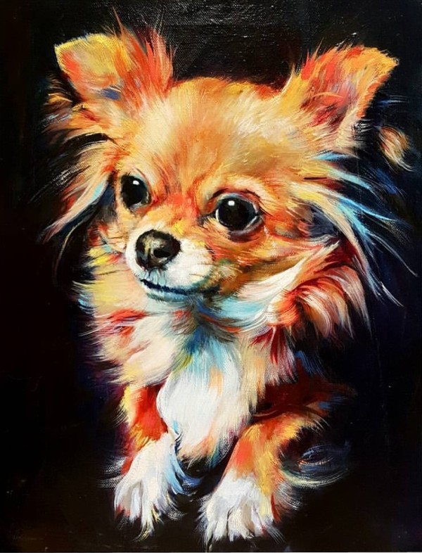 Chihuahua by Sue Gardner 