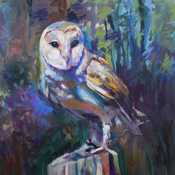 Night owl by Sue Gardner