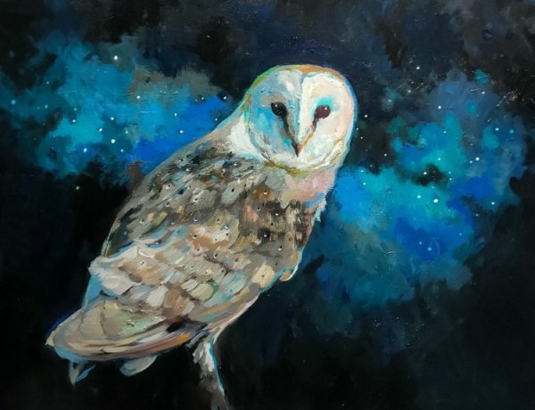 Starlight by Sue Gardner