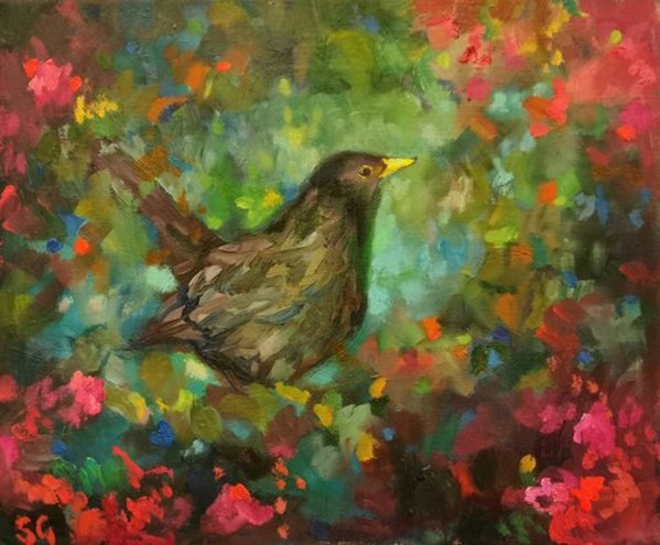 Blackbird Blossom by Sue Gardner 