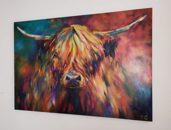 Commission Highland Cow by Sue Gardner 
