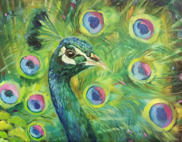 Mr Peacock by Sue Gardner