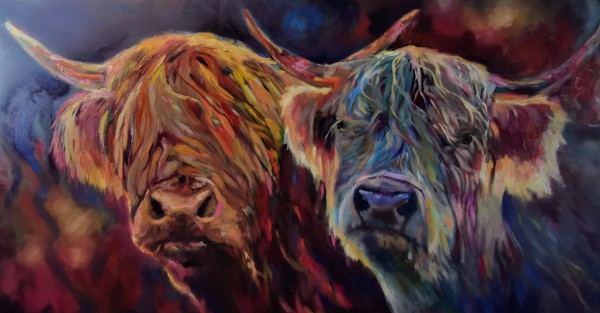 Commission Highland Cows by Sue Gardner 