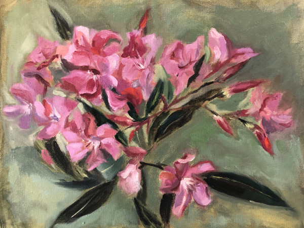 Oleander by Ivana Ignjacevic Okereke