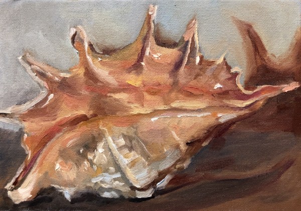 The Conch