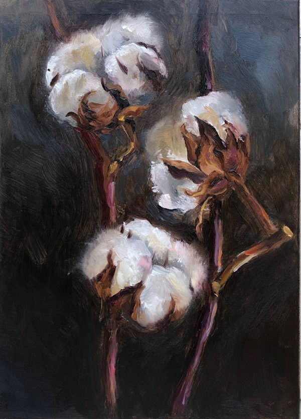 Cotton by Ivana Ignjacevic, Image 1.