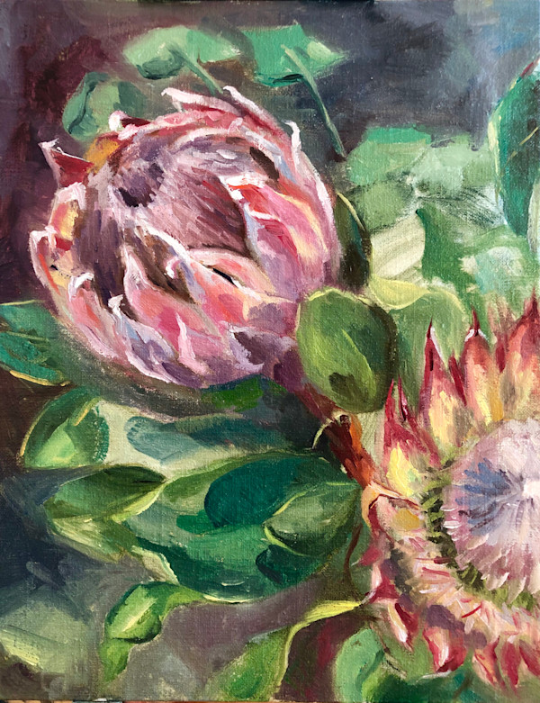 Protea by Ivana Ignjacevic, Image 1.