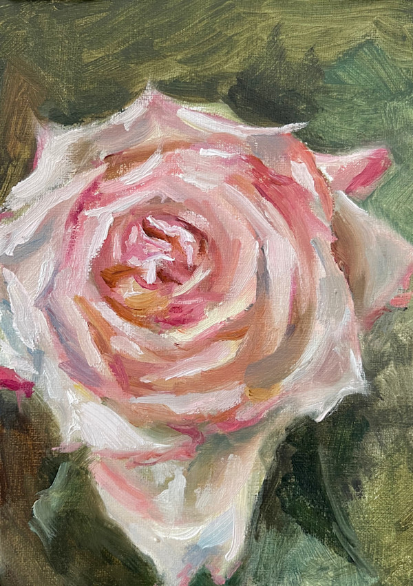 Rose Study 2 by Ivana Ignjacevic, Image 1.
