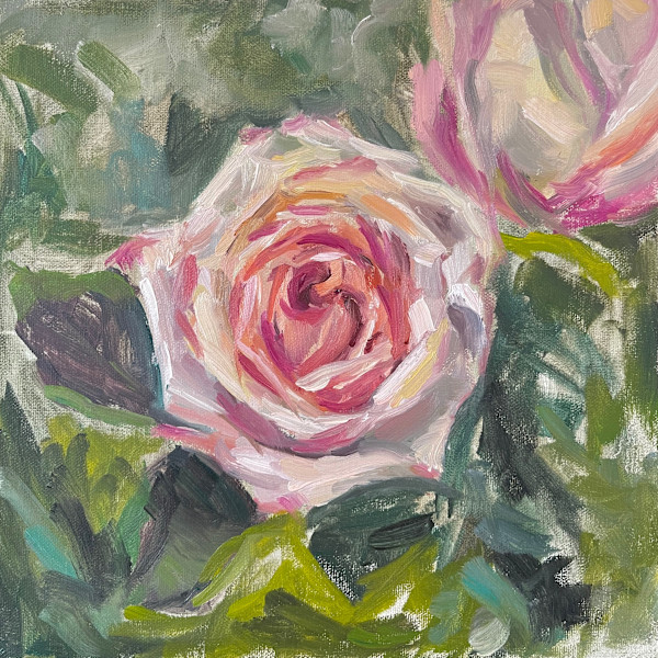 Rose Study 1 by Ivana Ignjacevic, Image 1.