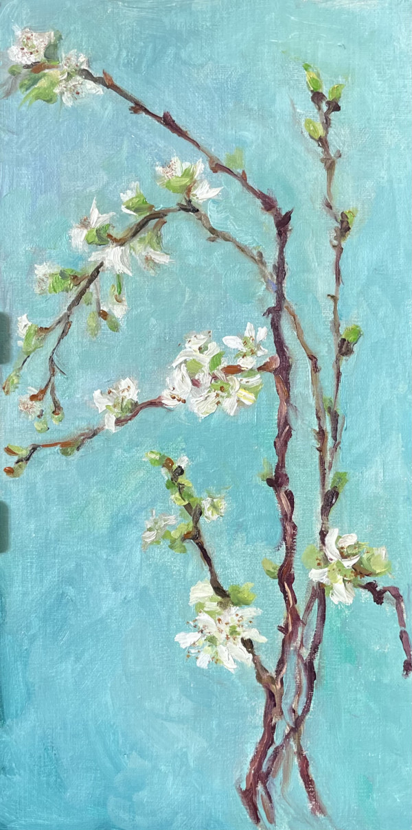 Cherry Blossoms by Ivana Ignjacevic Okereke
