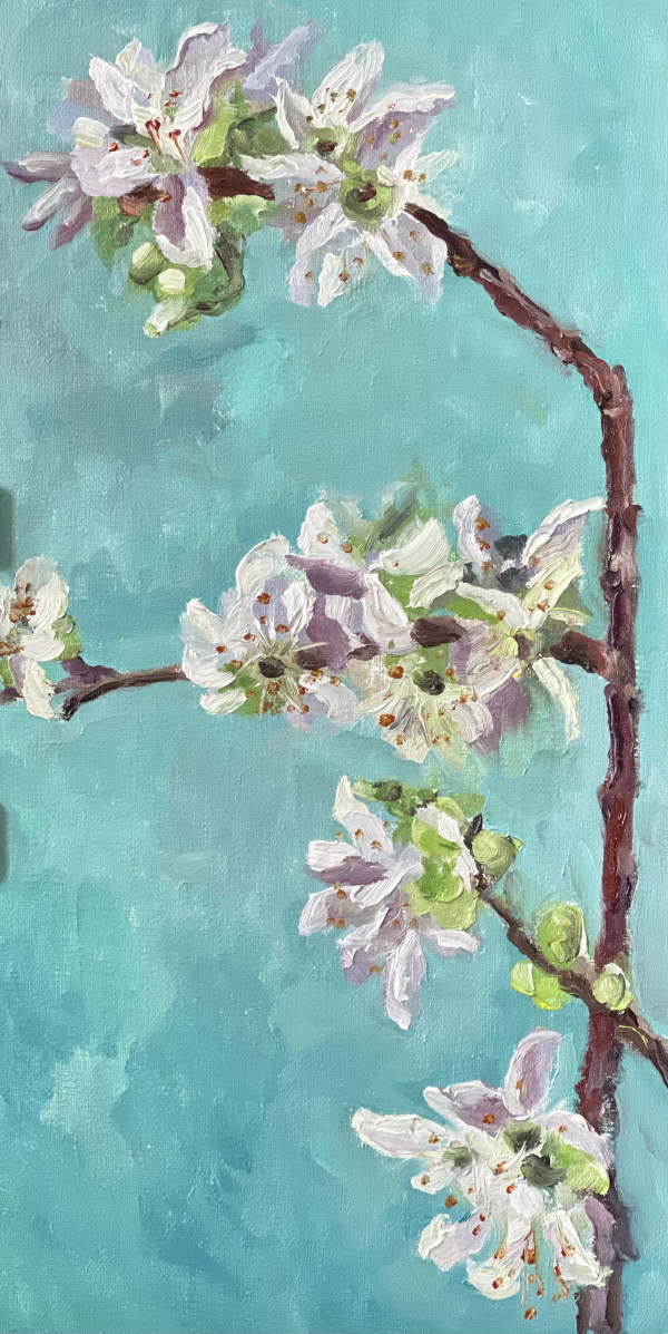 Cherry Blossoms 2 by Ivana Ignjacevic Okereke