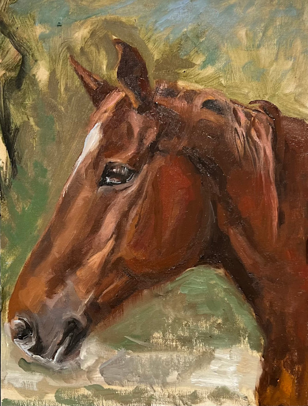 Portrait of a Horse by Ivana Ignjacevic, Image 1.
