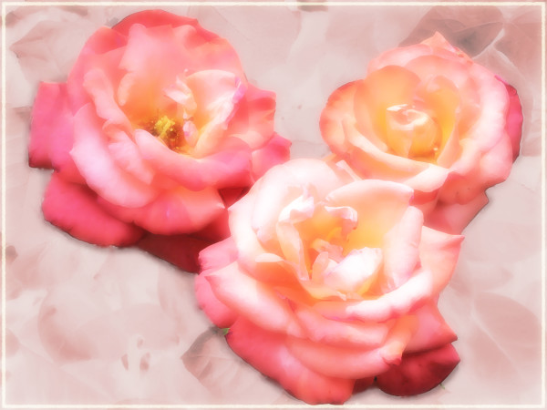 Bonnie Roses by Y. Hope Osborn
