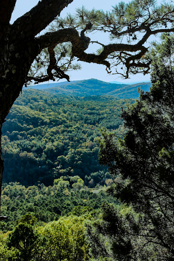 Hidden Valley, Image 1.