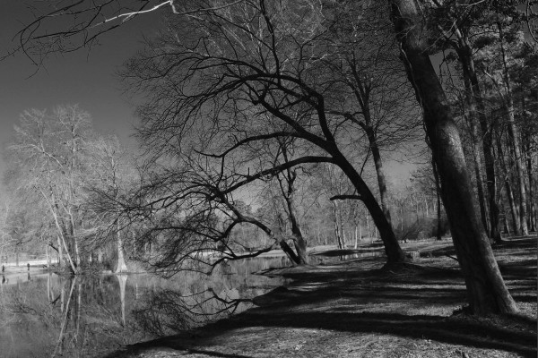 Lean With Me by Y. Hope Osborn, Image 1.
