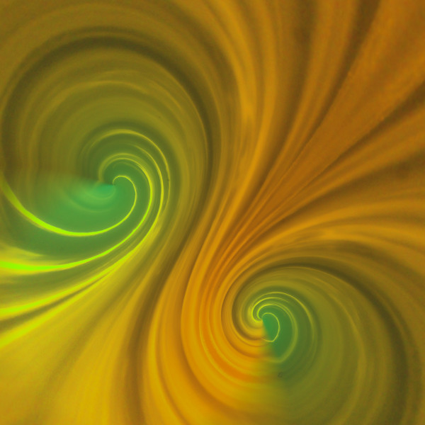 Memory of Moxie by Y. Hope Osborn