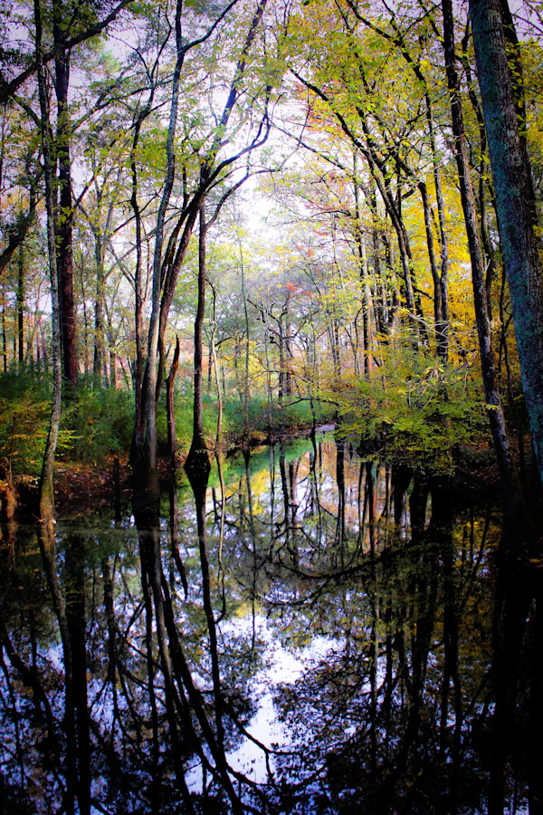 Oasis by Y. Hope Osborn, Image 1.