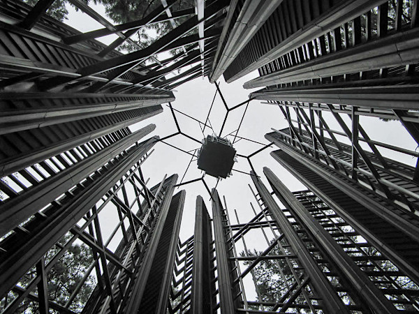 Perspective by Y. Hope Osborn, Image 1.