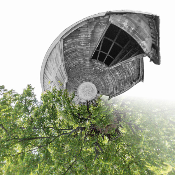 Renewal by Y. Hope Osborn