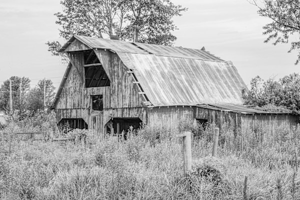 Solitary by Y. Hope Osborn
