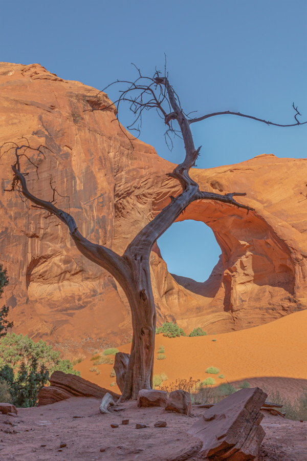 Valley of Sculpture by Y. Hope Osborn