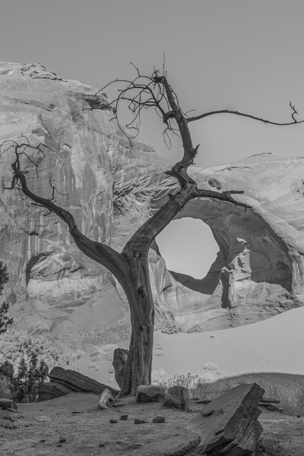 Water-Past by Y. Hope Osborn