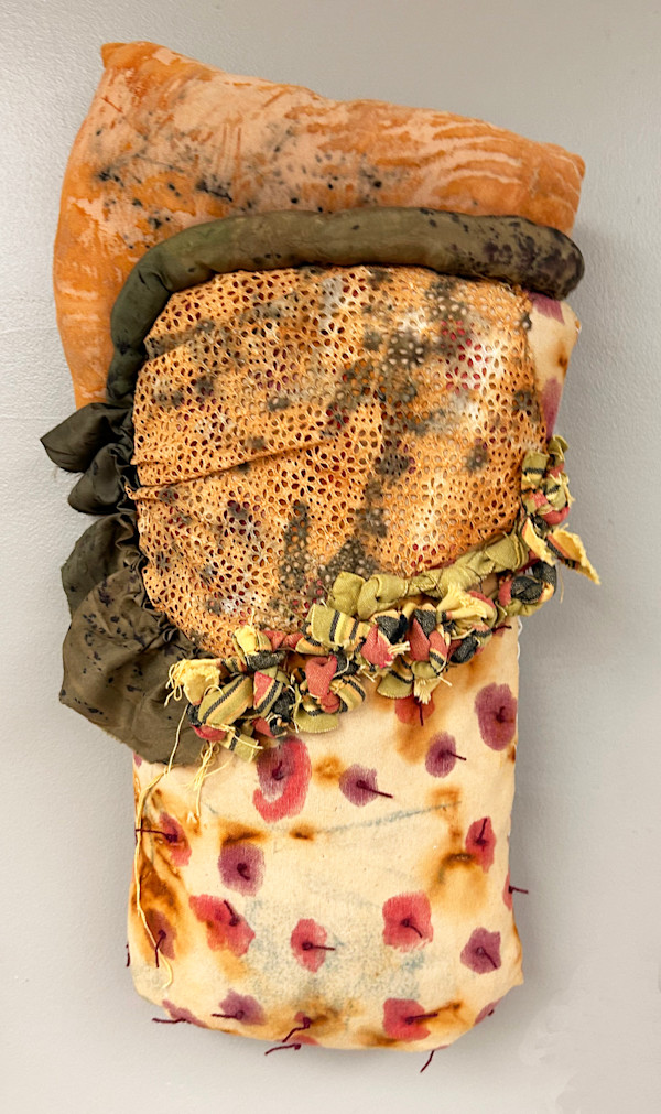 Stuffed #3 by Dianne Jean Erickson